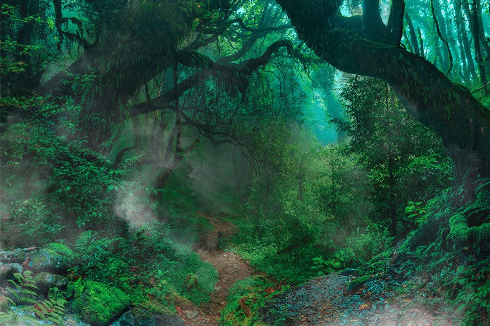 Enchanted Forest Green Mural Wallpaper: Mystical Path Through Lush Wilderness.