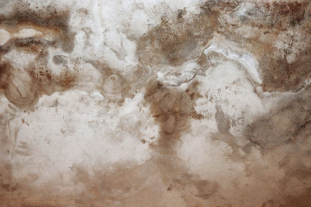 Earthy Textured Abstract Mural Wallpaper in Rustic Brown Tones