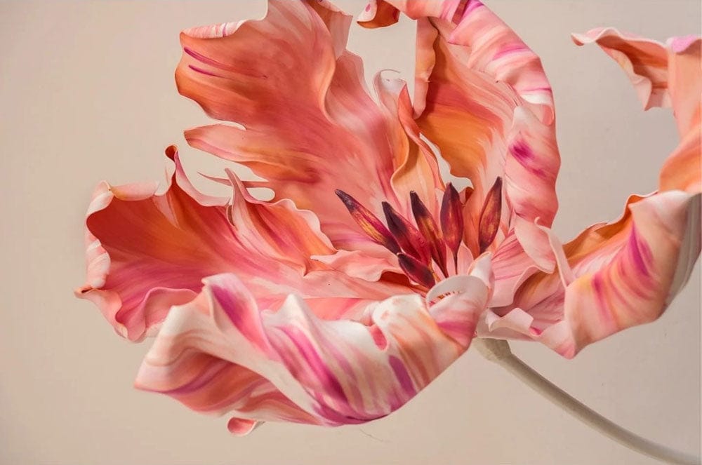 Floral Elegance: Coral Pink Tulip Mural for Stylish Interior Ambience