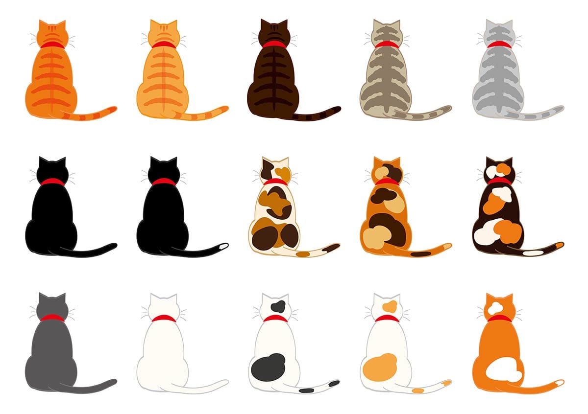 Charming Cat Silhouette Pattern Wallpaper - Multicolour Playful Feline Design