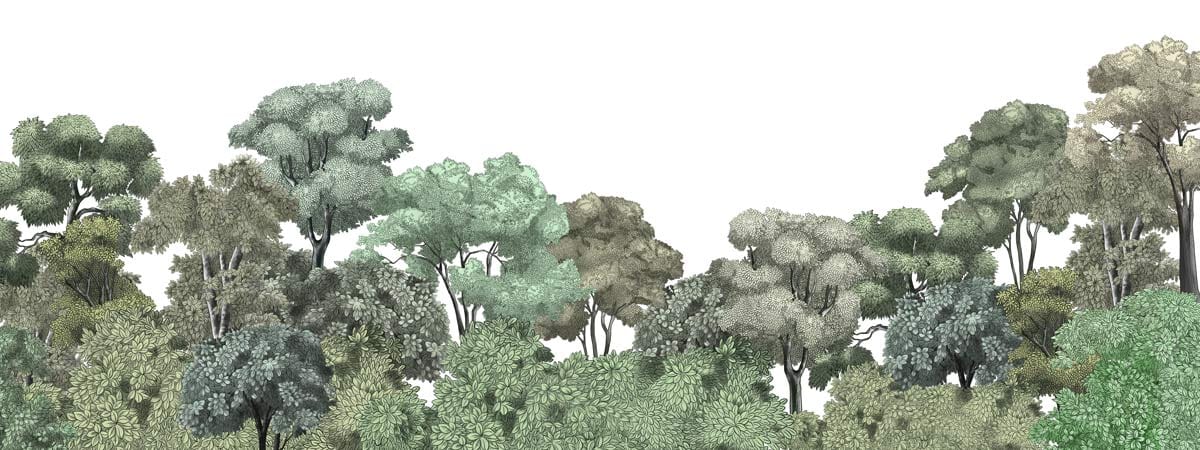 Serene Forest Green Canopy Mural Wallpaper - Tranquil Woodland Escape Design