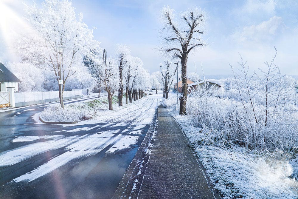 Frosty Winter Wonderland Scenic Mural Wallpaper with Snowy Landscape Charm