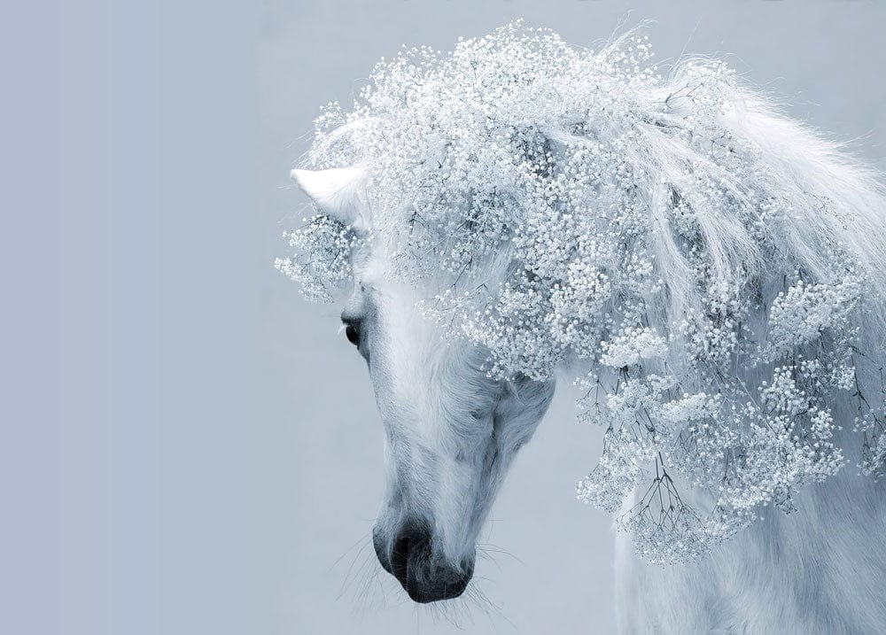 Ethereal White Floral Horse Mural Wallpaper - Elegant Pastel Decor Art