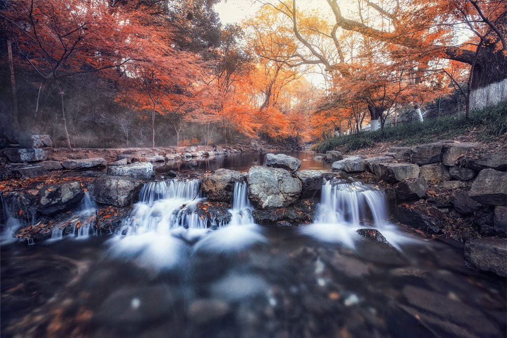 Waterfall & Maple Wallpaper Mural