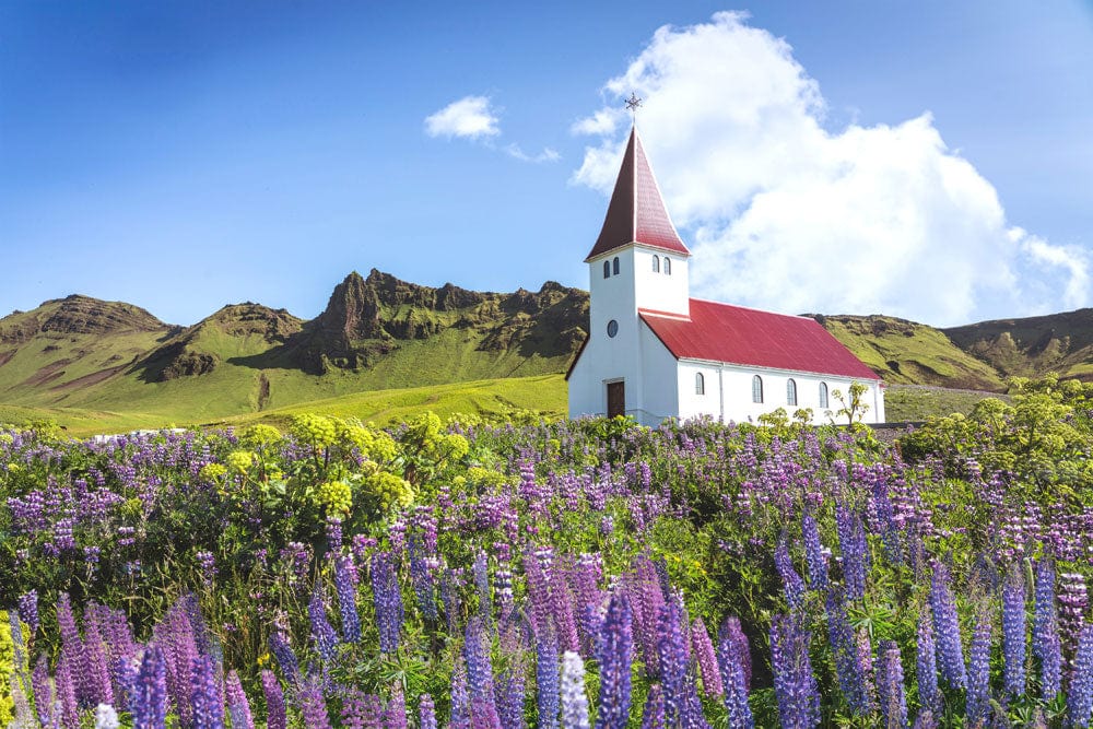 Idyllic Countryside Church Landscape Mural Wallpaper with Colourful Wildflowers Scene