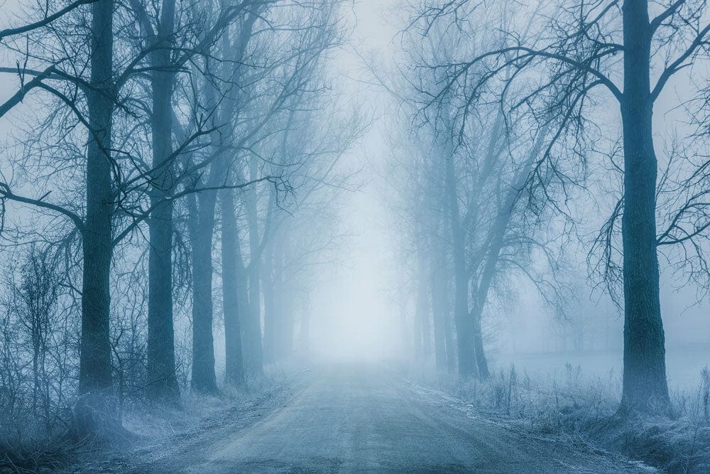 Ethereal Misty Forest Path Mural Wallpaper - Tranquil Blue Atmosphere