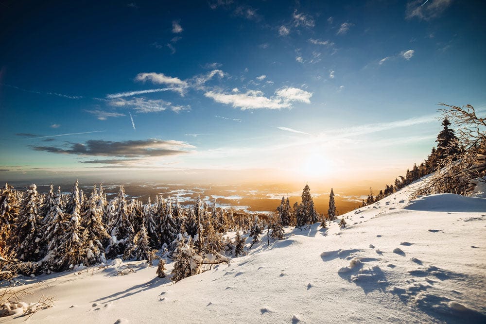 Serene Winter Sunrise Landscape Mural Wallpaper in Blue and White Tones