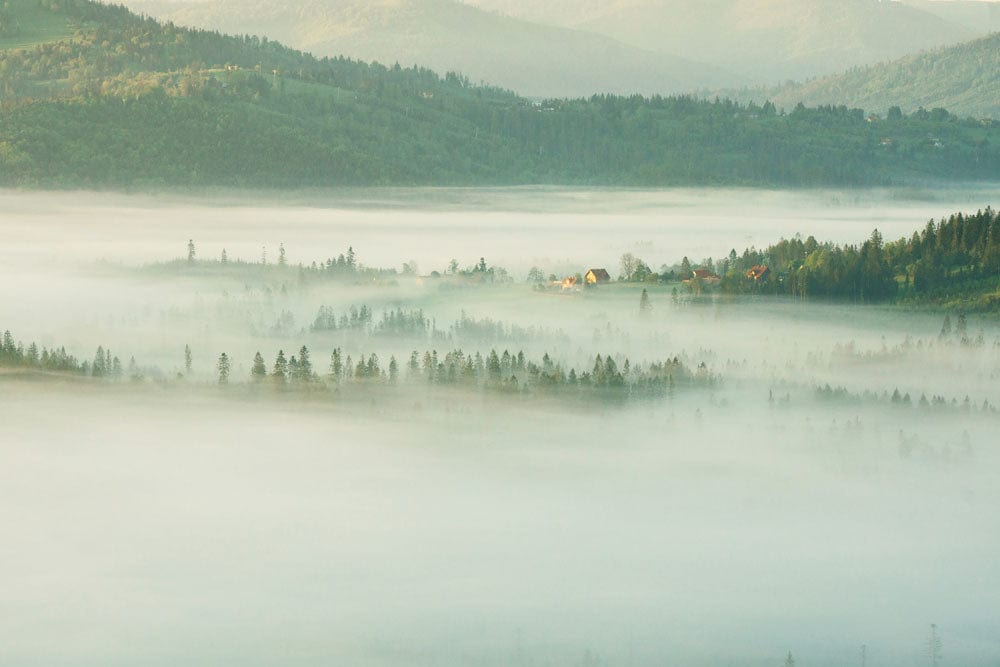 Misty Mountain Morning Mural Wallpaper - Serene Landscape in Soft Greens