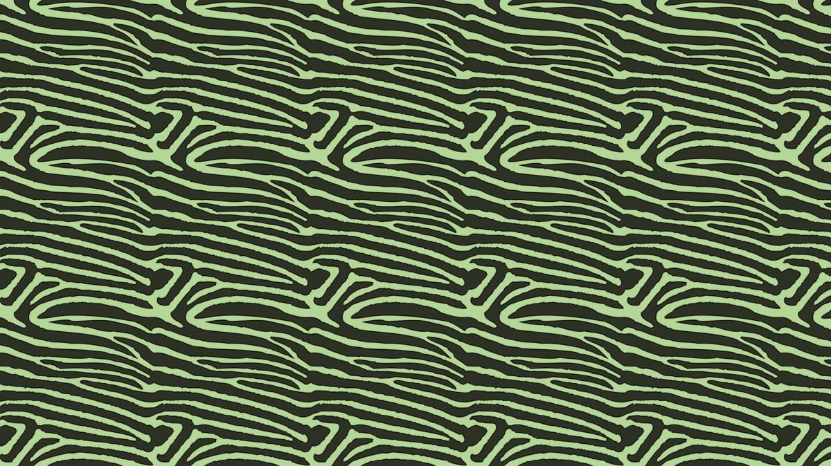 Modern Green and Black Abstract Zebra Pattern Wallpaper for Interiors