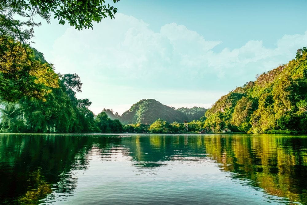 Tranquil Green Lake Reflection Scenic Landscape Mural Wallpaper Design