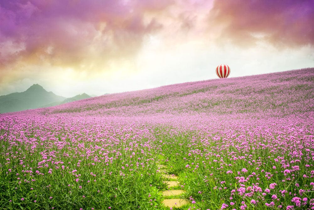 Dreamy Lavender Field and Balloon Scenic Mural Wallpaper in Pastel Sunset