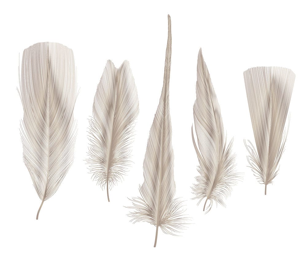 Elegant Neutral Feather Pattern Wallpaper - Minimalist Nature-Inspired Home Décor
