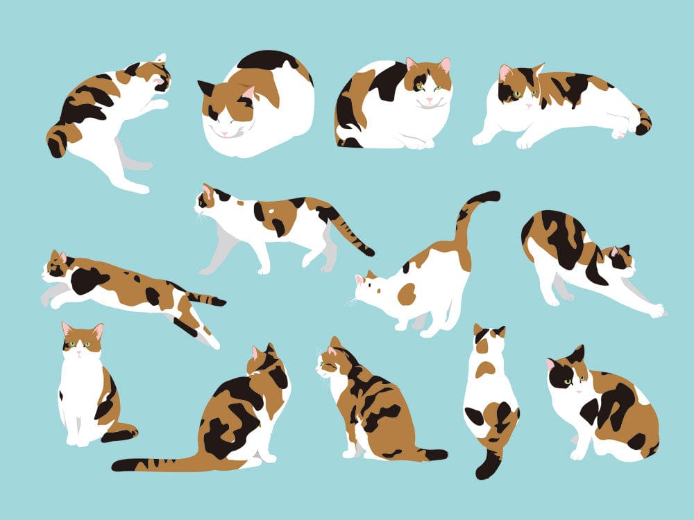 Charming Calico Cats Patterned Wallpaper - Playful Feline Art on Blue Background