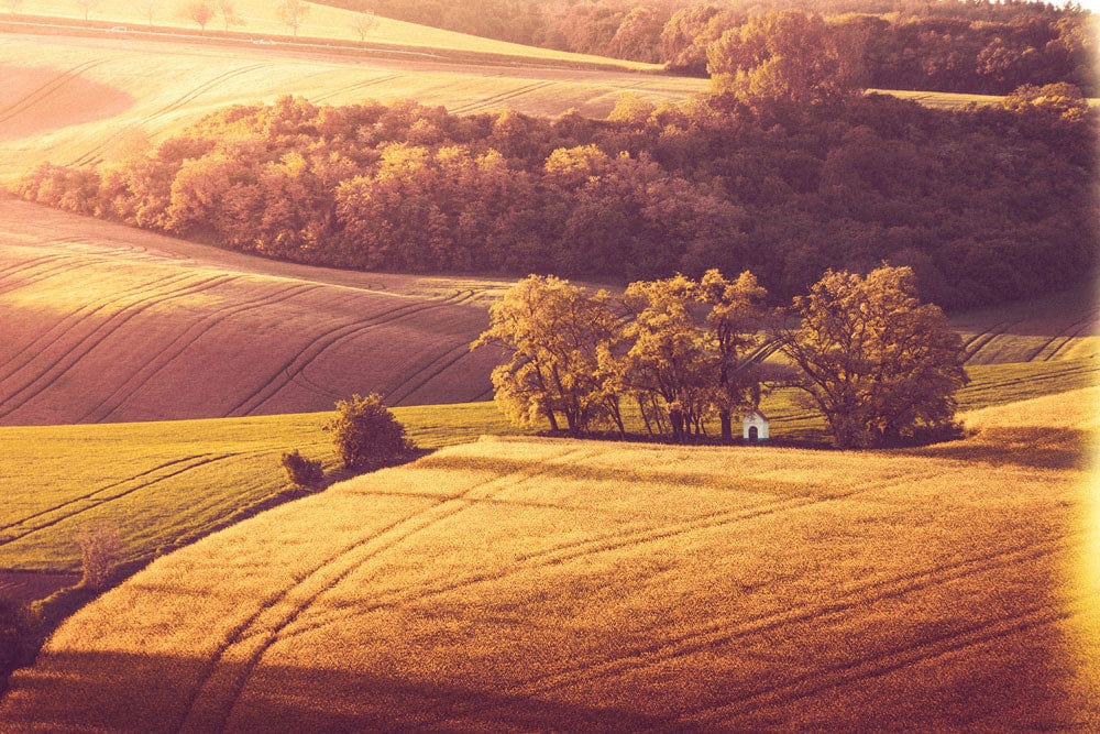 Autumn Farmland Wallpaper Mural