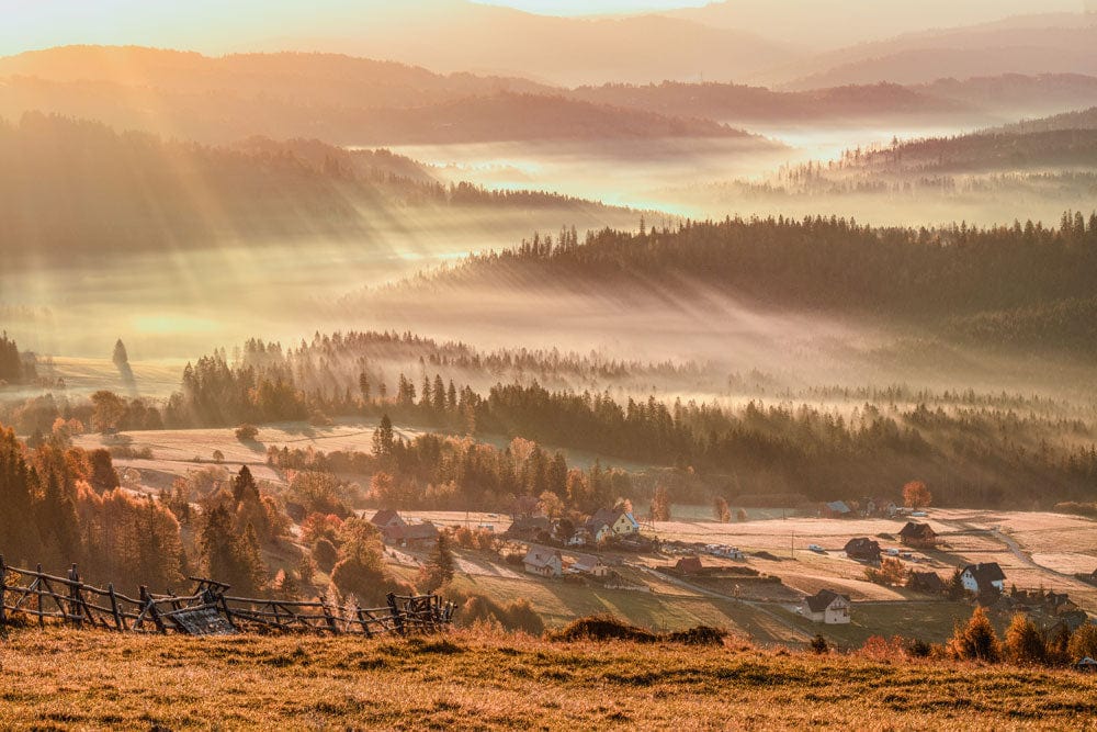 Serene Sunrise Misty Valley Mural Wallpaper in Warm Autumn Colours