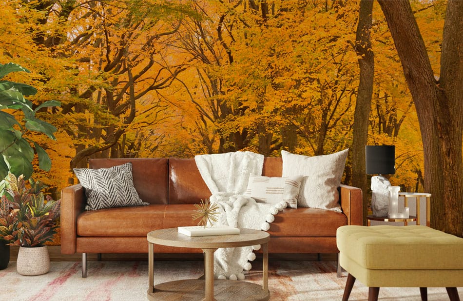Autumn Path Wallpaper Mural