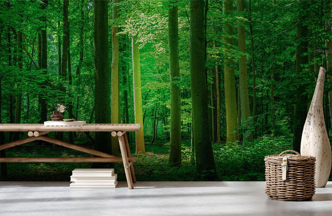 Enchanted Green Woodland Forest Mural wallpaper, rustic bench, wicker basket, serene living room decor.