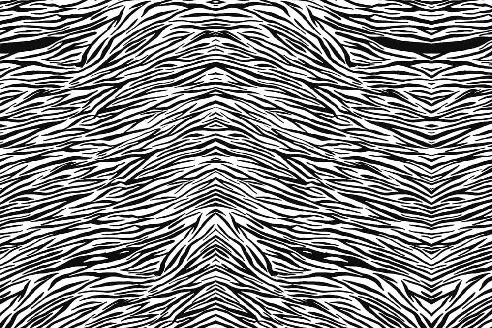 Monochrome Zebra Stripe Pattern Wallpaper - Stylish Black and White Design