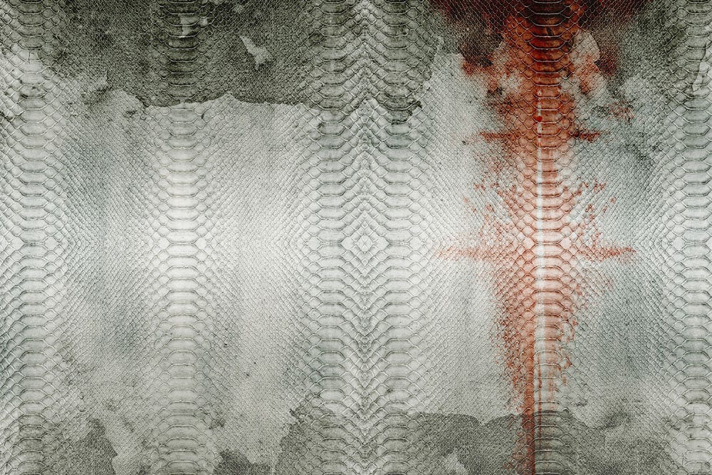 Blotted Python Skin Wallpaper Mural