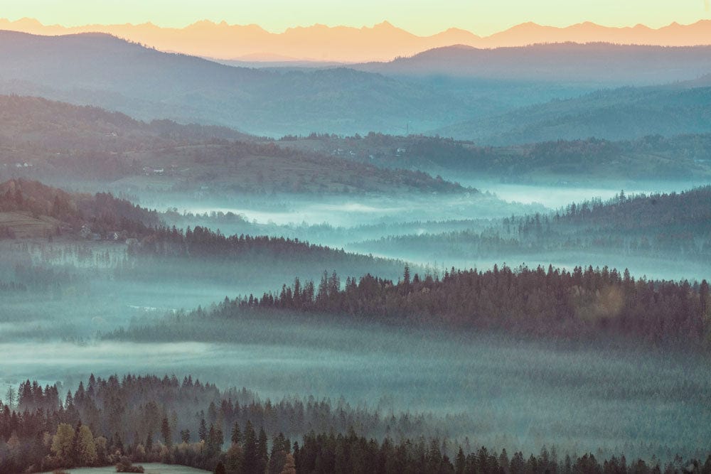 Tranquil Misty Hills Scenic Landscape Mural Wallpaper in Serene Blue Tones