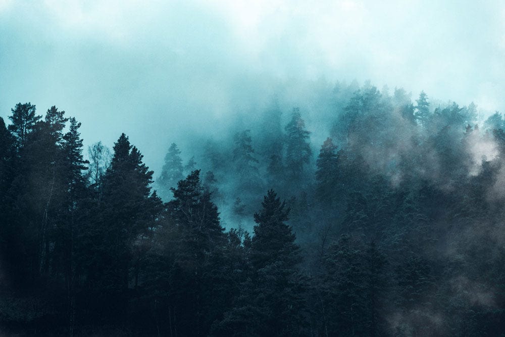 Enchanted Misty Forest Landscape Mural Wallpaper in Serene Teal Tones