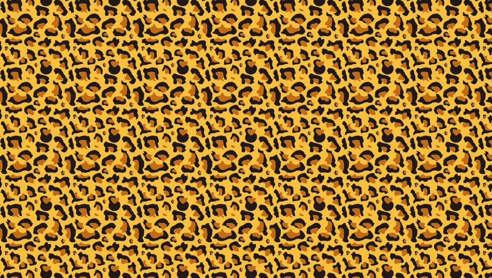 Bright Leopard Print Wallpaper Mural