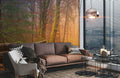 Brightness in Woods Wallpaper Mural