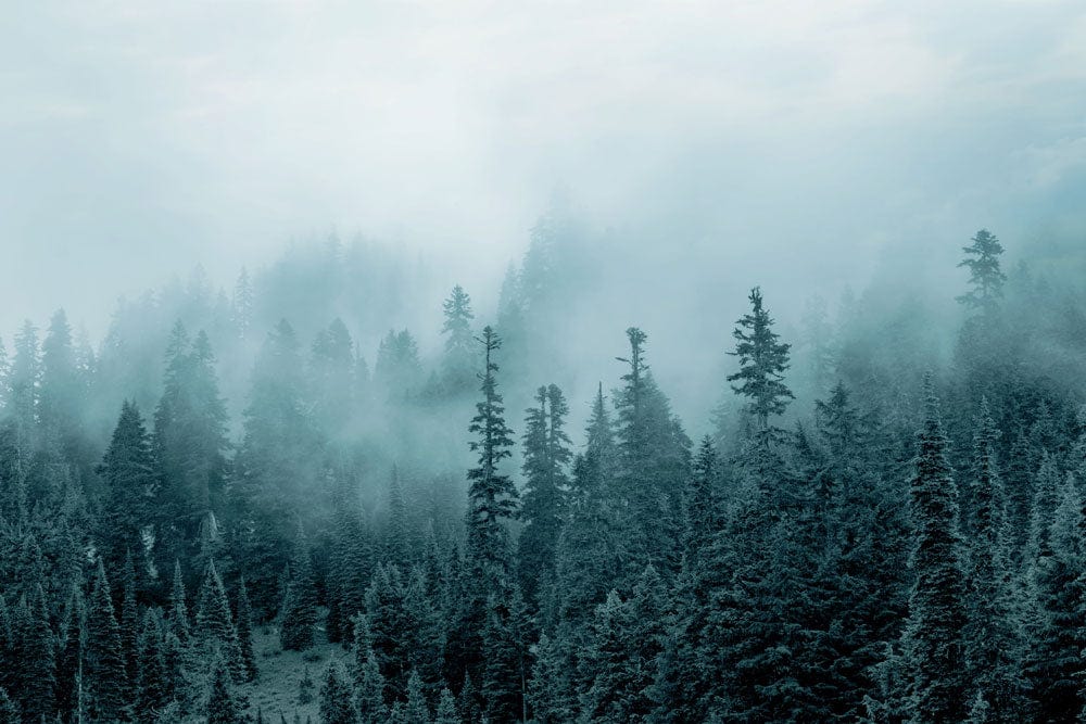 Misty Forest Green Landscape Mural Wallpaper for Tranquil Home Decor