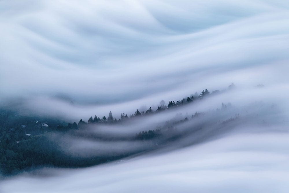 Tranquil Misty Forest Landscape Wall Mural in Serene Blue Hues