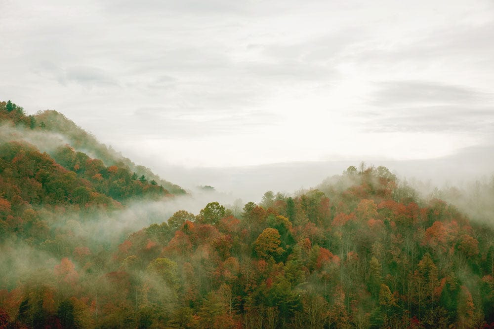 Autumn Mist Mountainscape Mural Wallpaper - Elegant Scenic Forest Design