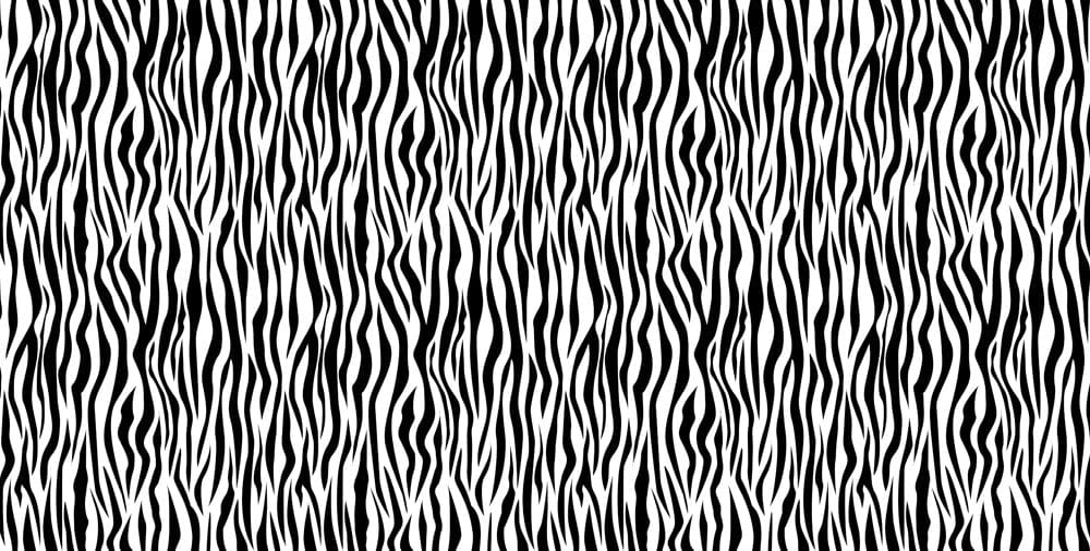 Dense Zebra Fur Wallpaper Mural