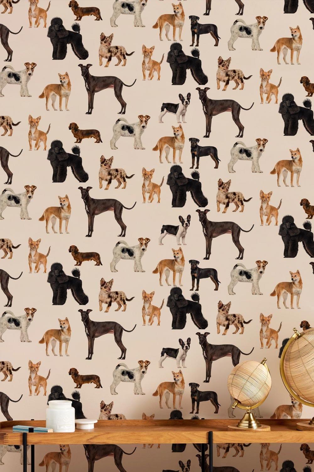 Charming Dog Breeds Wallpaper in multicolour pattern, wooden table with globes, stylish decor.