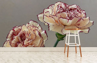 Enlarged Carnation Wallpaper Mural