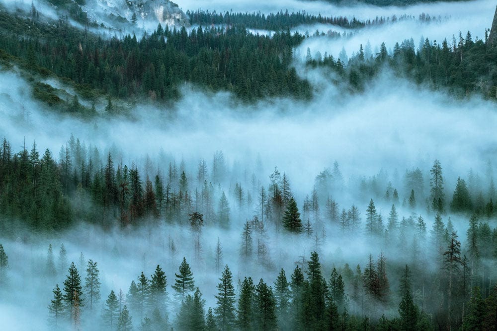 Misty Forest Landscape Mural Wallpaper in Serene Green Tones for Tranquil Spaces