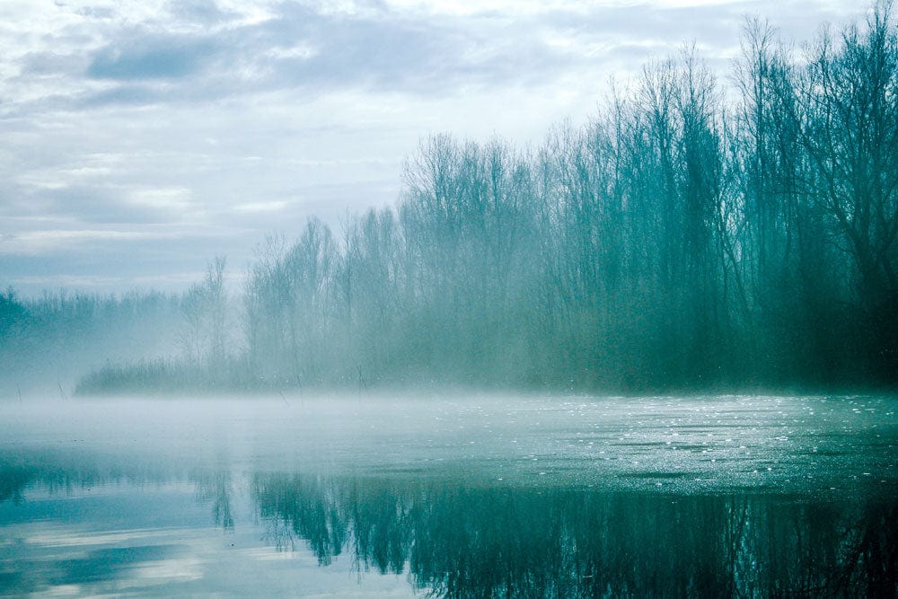 Misty Teal Forest River Photographic Mural Wallpaper - Tranquil Nature Scene