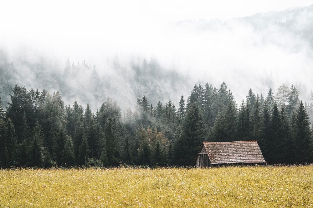 Rustic Forest and Misty Landscape Mural Wallpaper in Soothing Greens