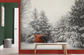 Gray Snow Forest Wallpaper Mural