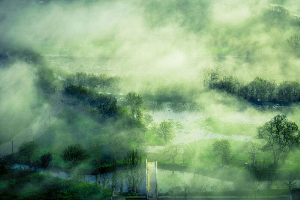 Serene Misty Landscape Green Nature Scene Mural Wallpaper Décor