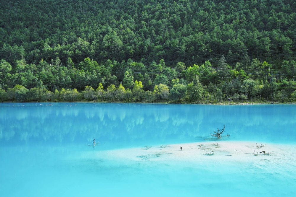 Tranquil Lake and Forest Scene Mural Wallpaper in Serene Blue Hues
