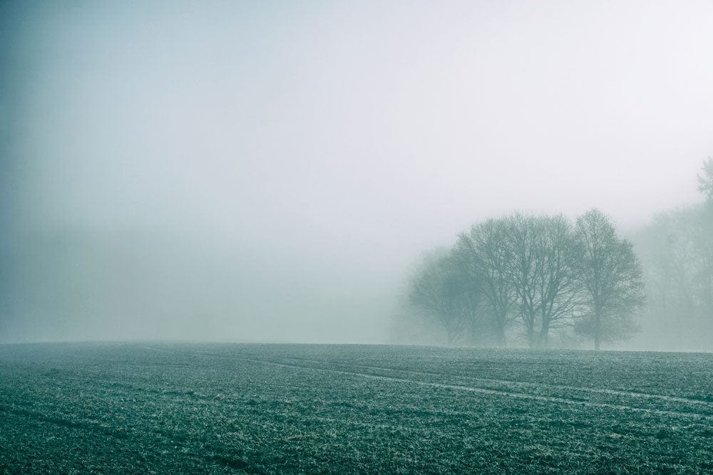 Misty Morning Landscape Mural Wallpaper with Serene Green and Grey Hues
