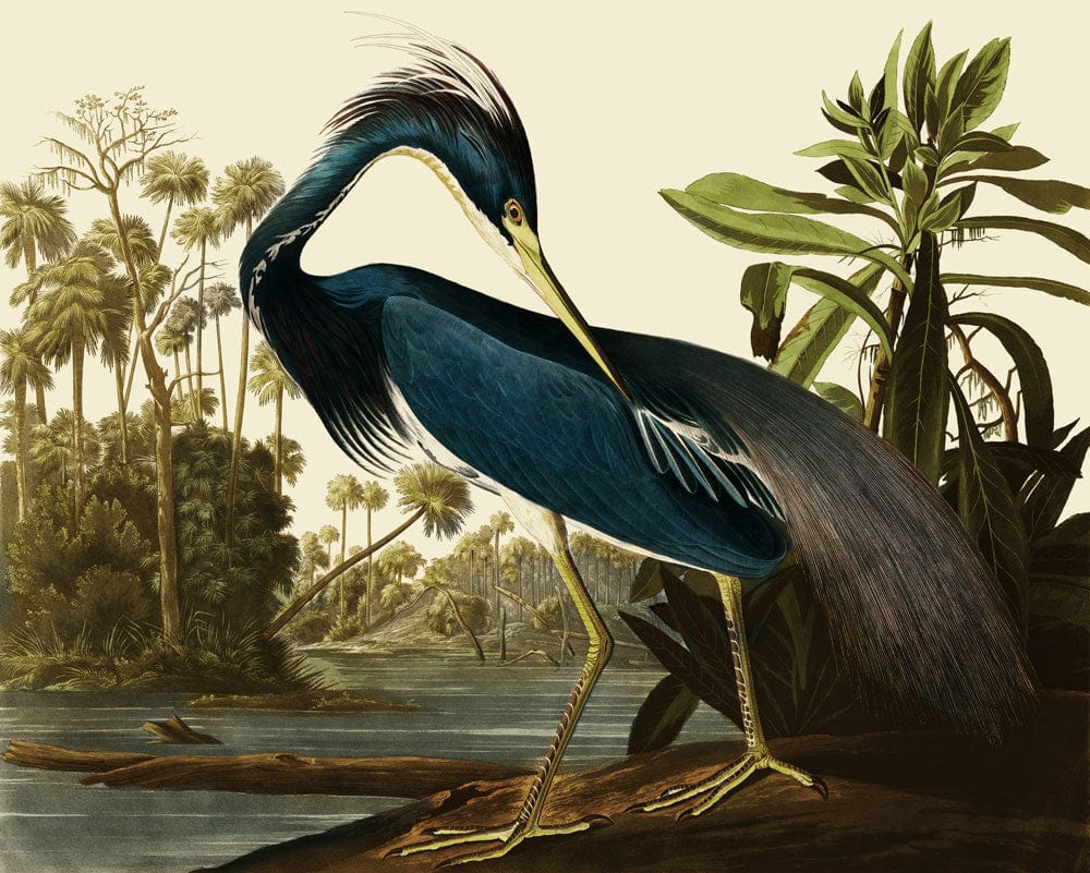 Elegant Blue Heron Vintage Tropical Nature Mural Wallpaper for Living Room
