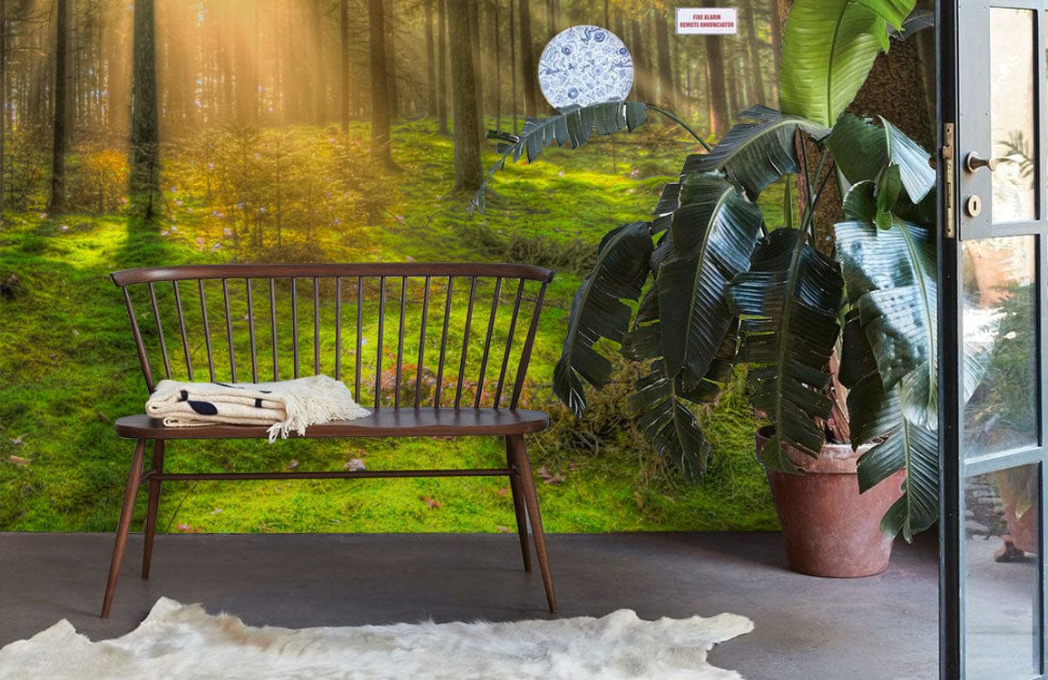 Forest Serenity mural wallpaper in sunlit green woodland scene with wooden bench and cowhide rug.
