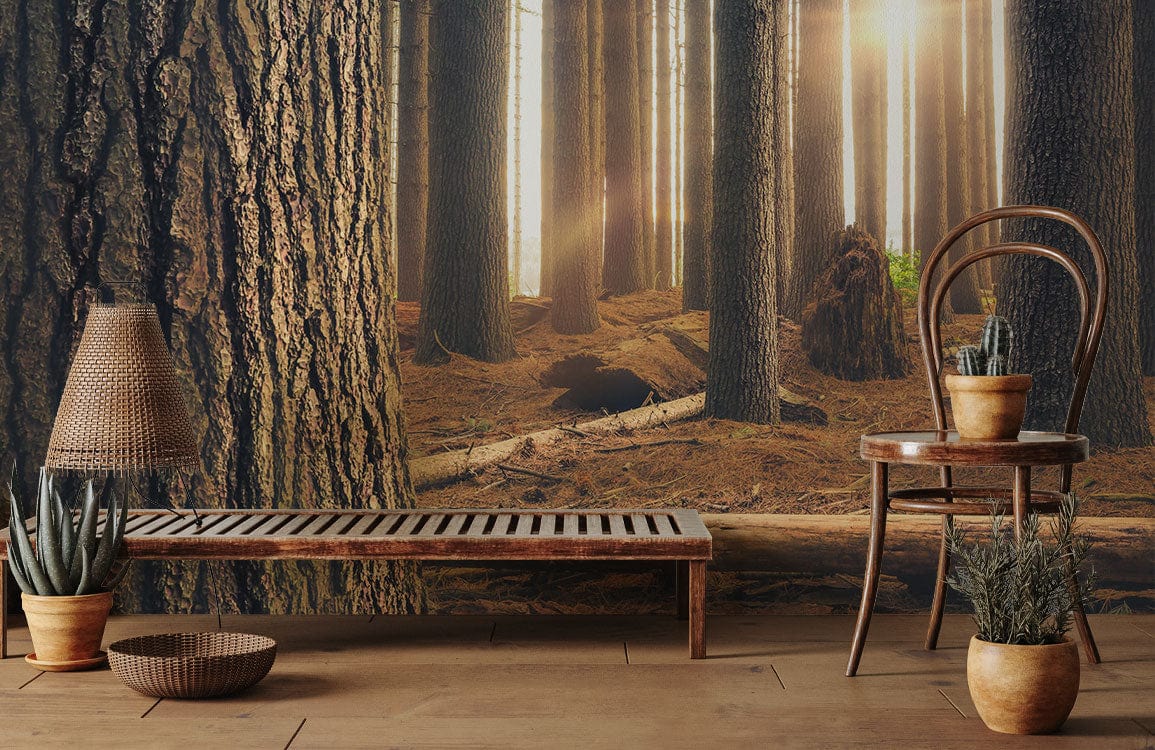 Mystical Sunlit Forest Mural Wallpaper in brown tones, natural wood flooring, wooden chair.