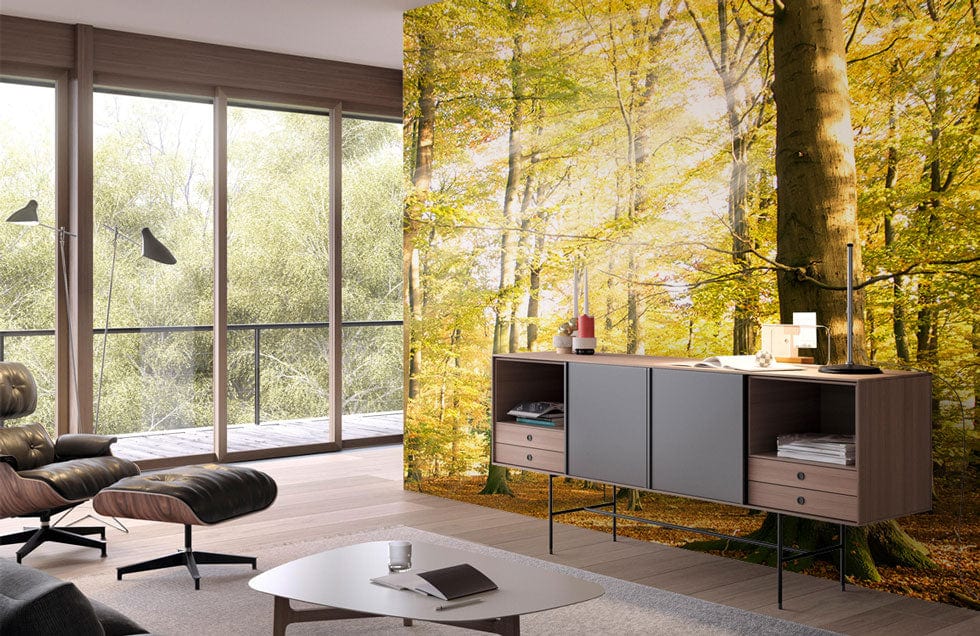 Golden Autumn Forest Mural Wallpaper with sunlit trees in a modern living room featuring wooden flooring.