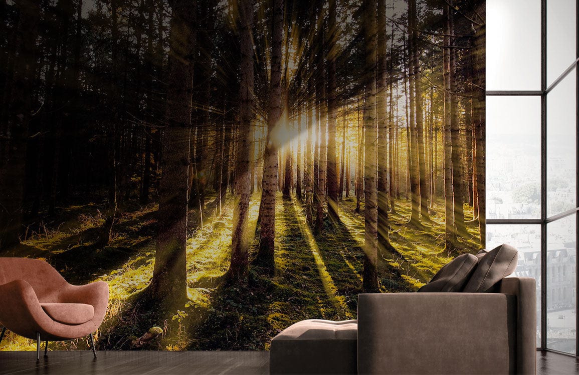 Golden Forest Sunrise Mural Wallpaper in living room with grey sofa, brown chair, wood flooring.
