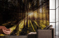 Lights in Dark Woods Wallpaper Mural