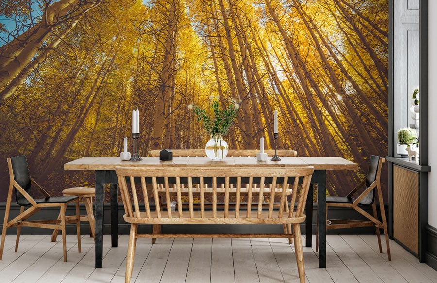Golden Autumn Forest Wall Mural in dining room with wooden table, black chairs, and light wood flooring.