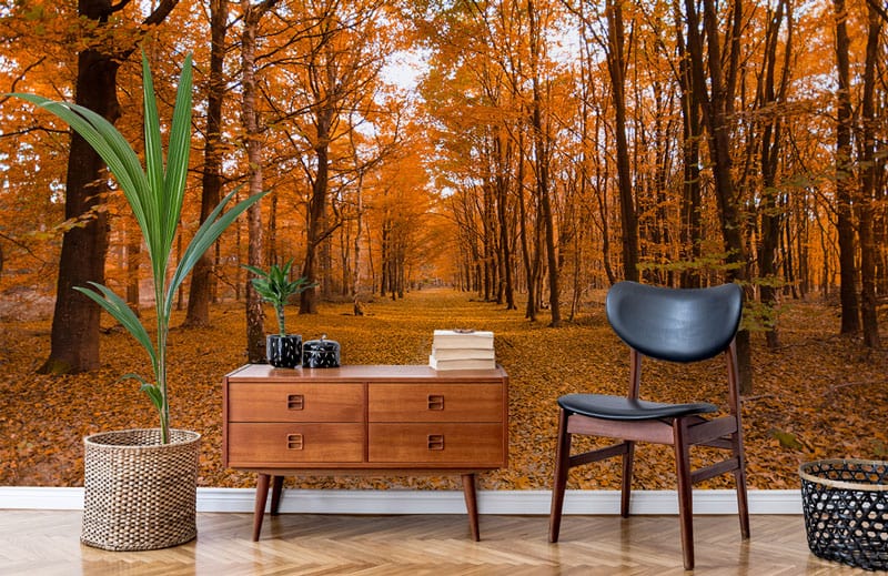 Autumn Forest Path mural wallpaper with orange tones, wooden furniture, herringbone flooring, designed for tranquillity.
