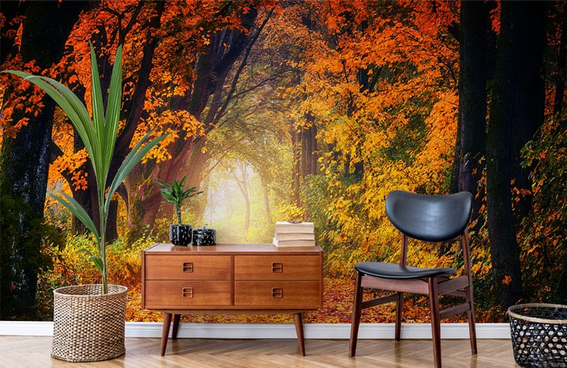 Maple Woods Arches Scenery Wallpaper Mural for Use as Decoration in Hallways