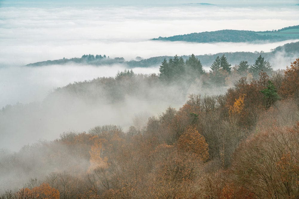 Misty Autumn Forest Scenic Mural Wallpaper - Tranquil Mountain Landscape Design
